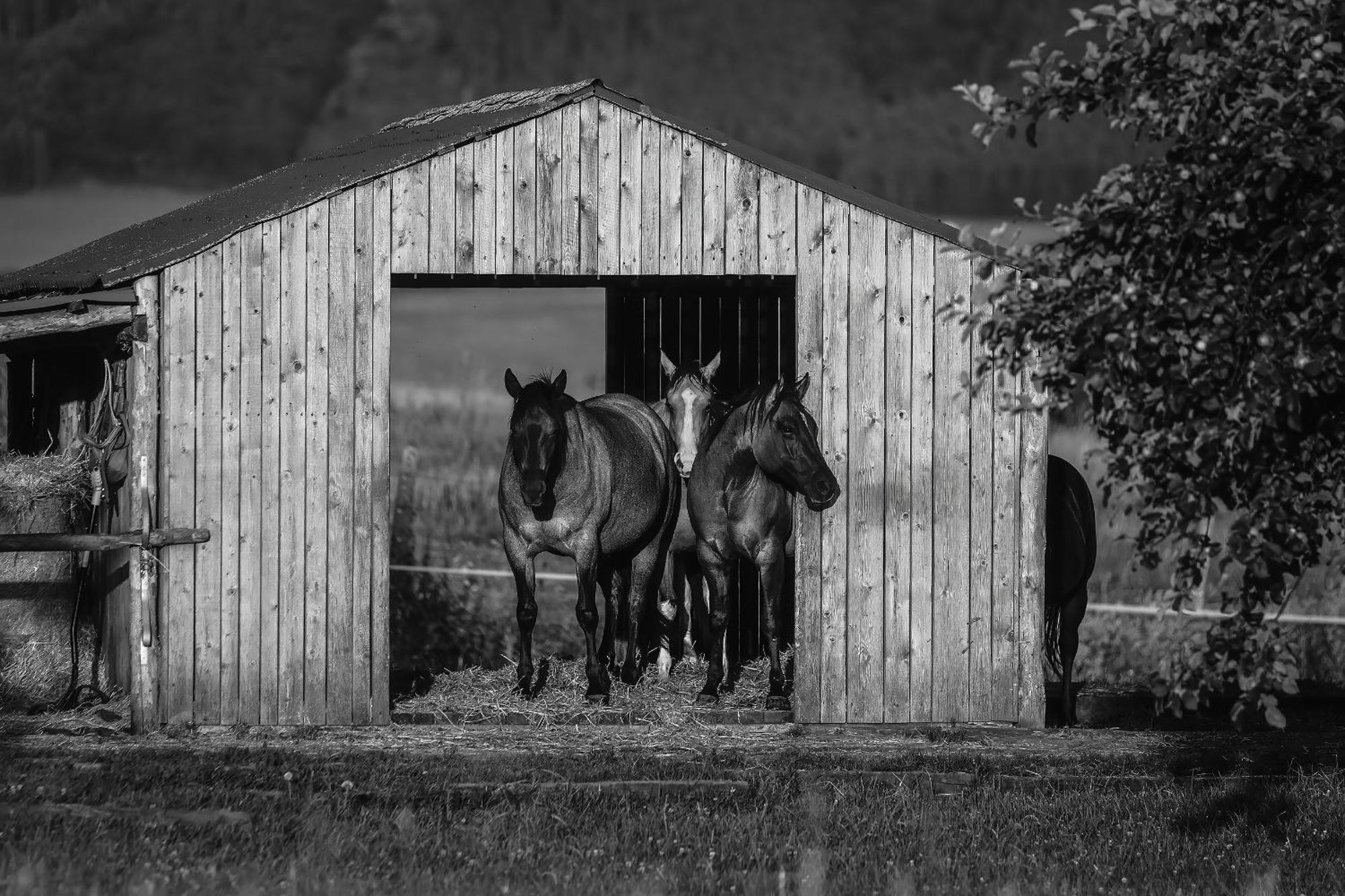 Apartman Ranc Martin Buitenkant foto